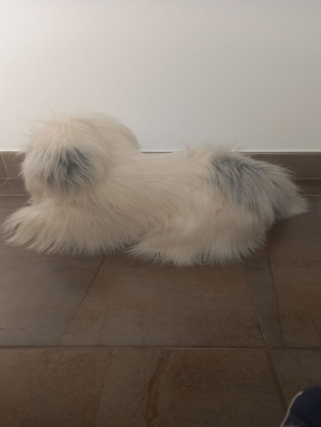 Perro de peluche