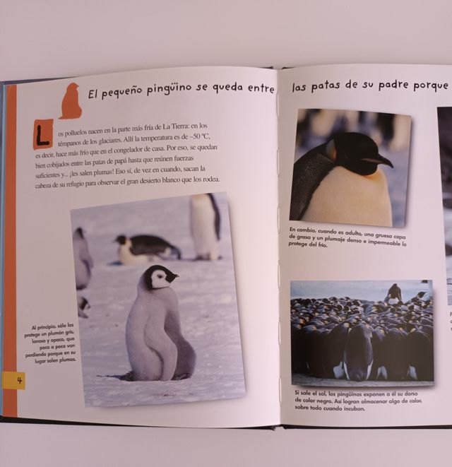 Libro El Pingüino
