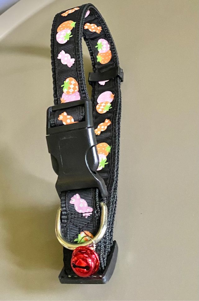 Collar de perro nuevo