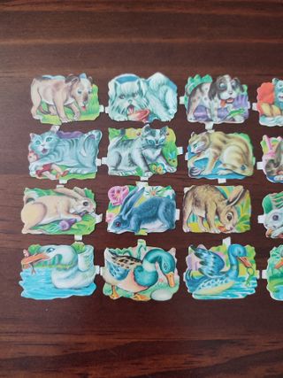 Cromos troquelados Eva 119