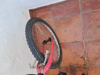 Bicicletas 👇 👀
