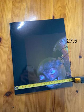 🌟Tony Oursler 2008 - Soledad Lorenzo