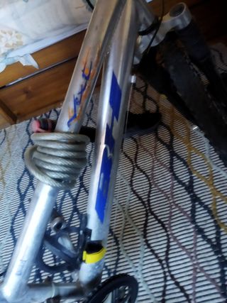 Mountain bike bh next