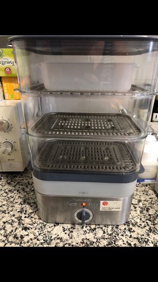 Vaporera kenwood FS620