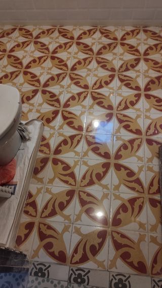 Pulidor Mosaico hidráulico 