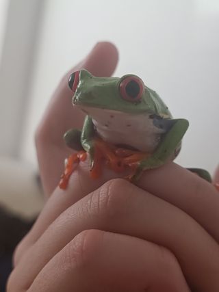 cuidadora de mascotas