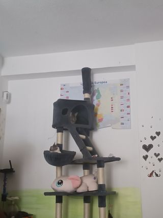 cuidadora de mascotas