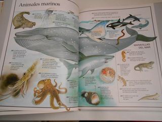 El libro de los récords.Los 1000 récords + famosos