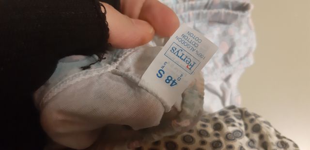 Lote 31 slips algodón 100%