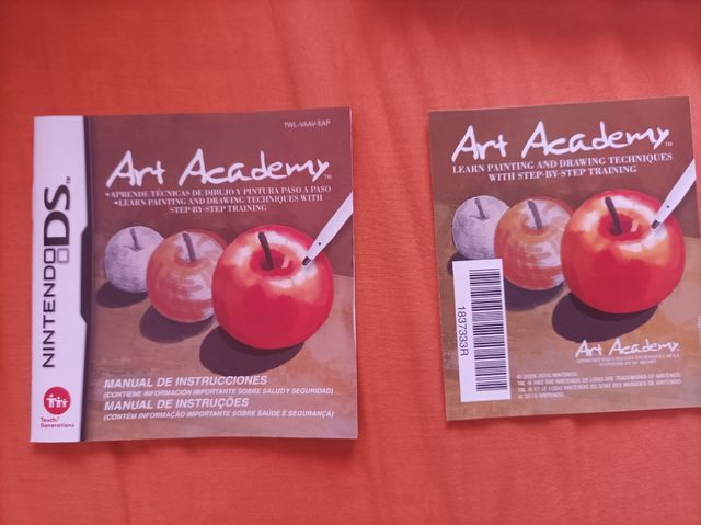 ART ACADEMY NINTENDO DS