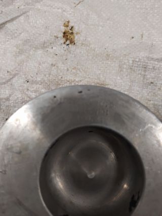 Mangon tractor pasquali