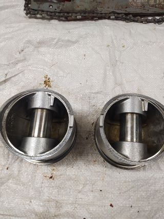 Mangon tractor pasquali