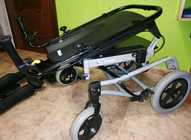 Silla Ruedas *Rea Clematix*