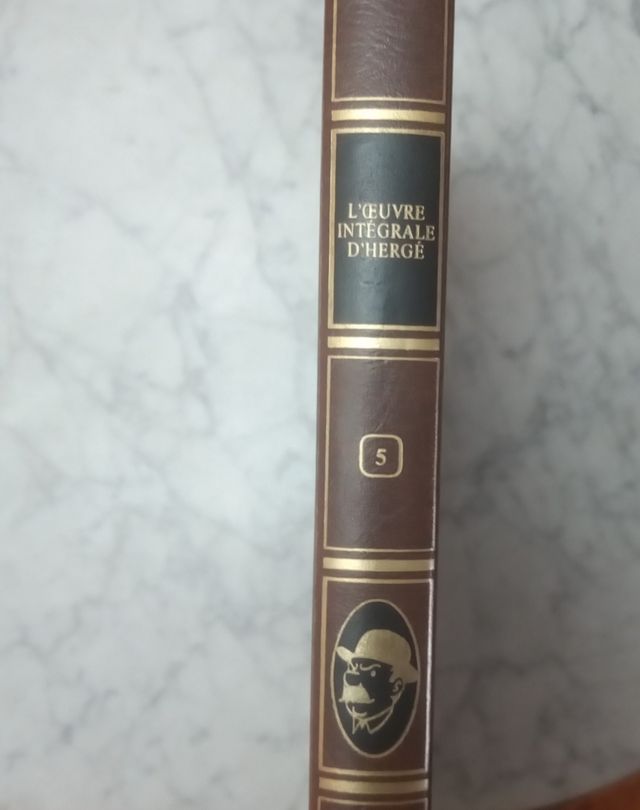 tomo Tintín en francés.