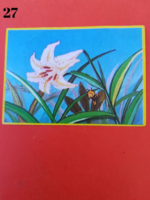 cromos abeja maya 1979 danone