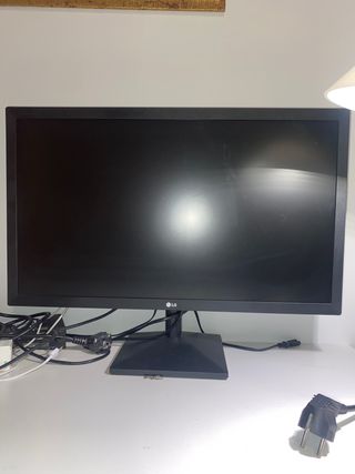 Monitor 60 hz LG