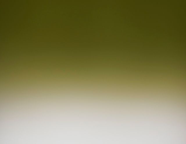 Fondo color degradado a blanco. Fotografía estudio