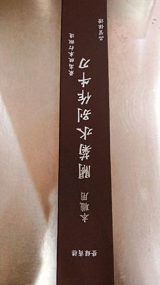 Cuchillo de cocina japonés GYUTO