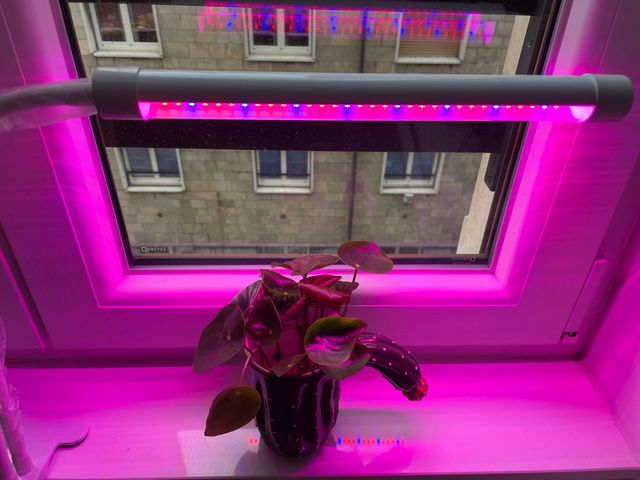 Lampada Led per la crescita di piante