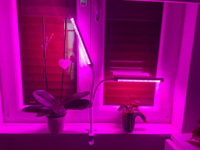 Lampada Led per la crescita di piante