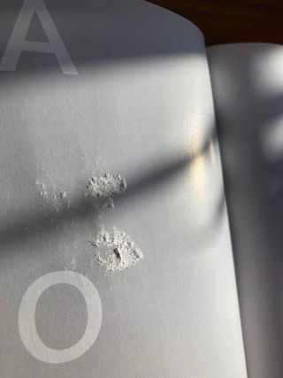 Libro El Dibujo Animado. Sergi Camara.