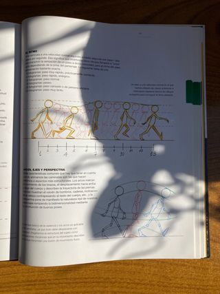 Libro El Dibujo Animado. Sergi Camara.