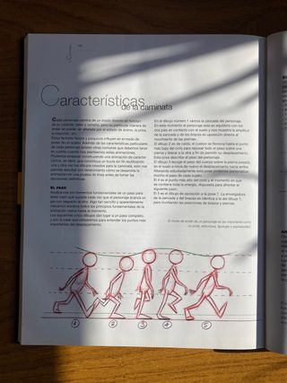 Libro El Dibujo Animado. Sergi Camara.