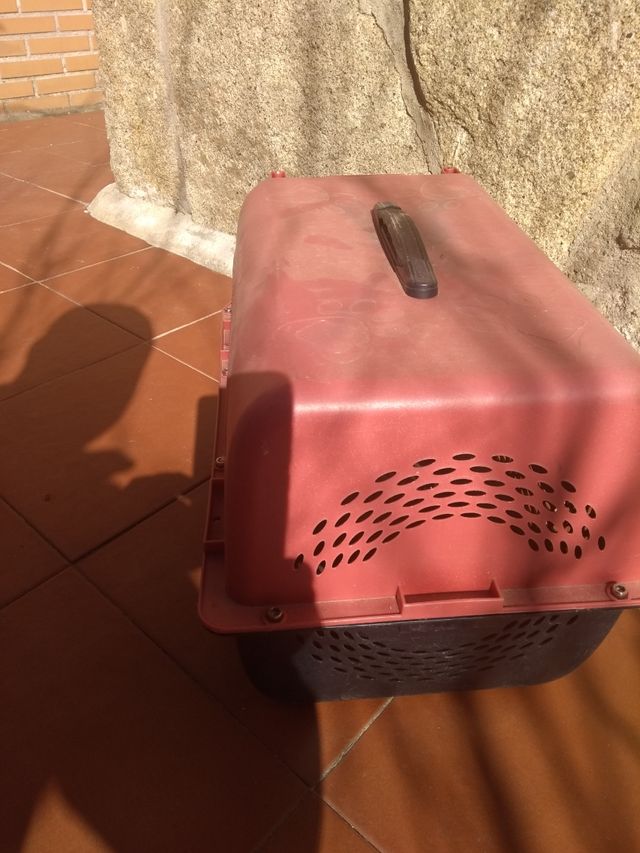 trasportin animales, gato, perro, etc....