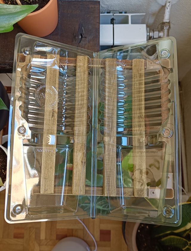 Packaging envío plantas - Maceta 7 cm base