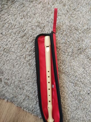 Flauta escolar basica