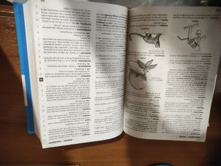 Diccionari en catalán