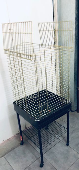 Jaula para loro , agaporni , pájaros