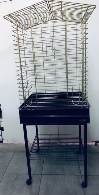 Jaula para loro , agaporni , pájaros
