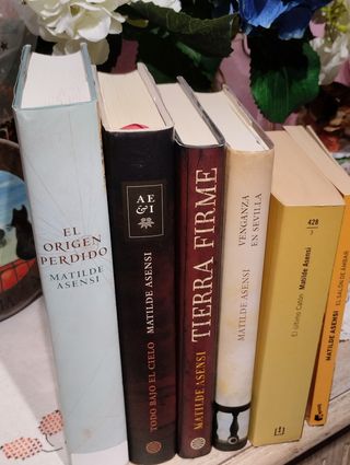 COLECCIÓN NOVELAS DE MATILDE ASENSI.