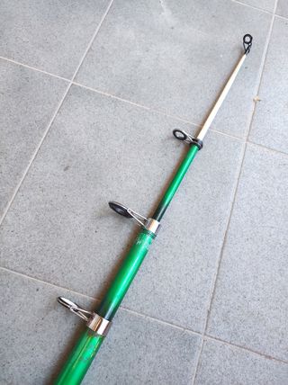 caña para la pesca del siluro 4,20 mt