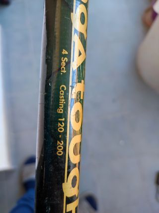 caña para la pesca del siluro 4,20 mt