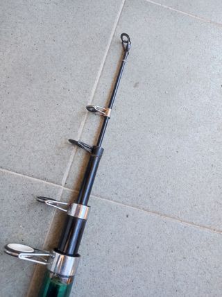 caña para la pesca del siluro 3,50 mt