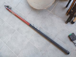 caña para la pesca del siluro 3,10 mt