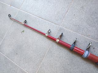 caña para la pesca del siluro 3,10 mt