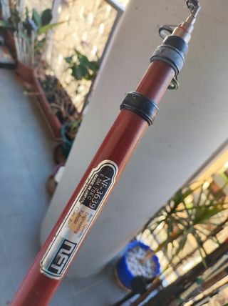 caña para la pesca del siluro 3,10 mt