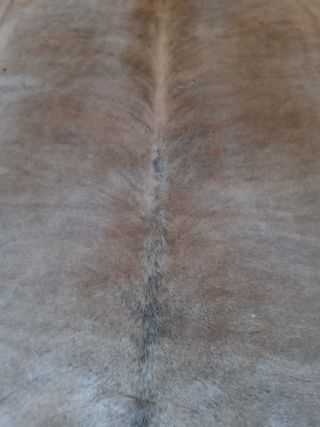 alfombra piel vaca