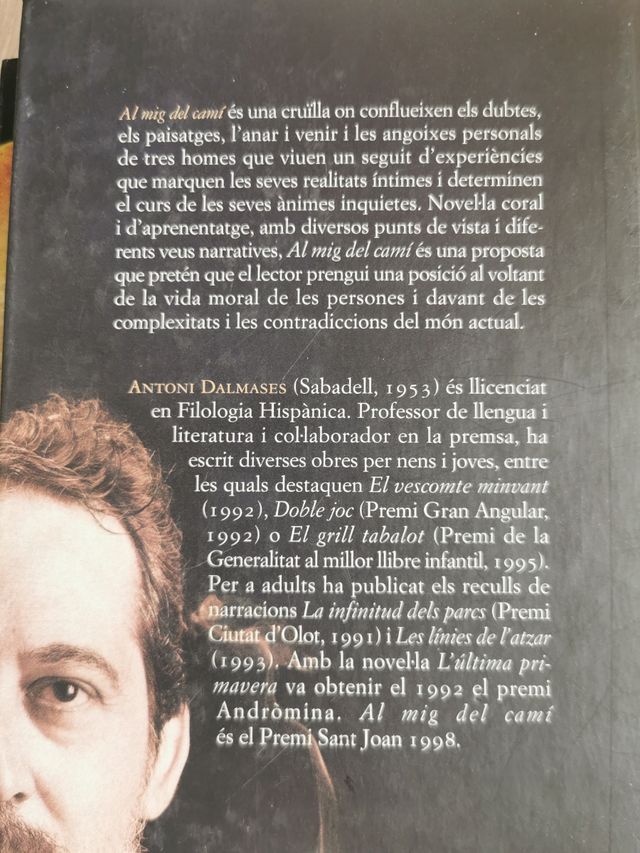 Al mig del camí - Antoni Dalmases