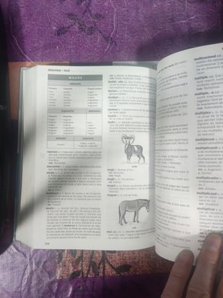 diccionari escolar de la lengua catalana