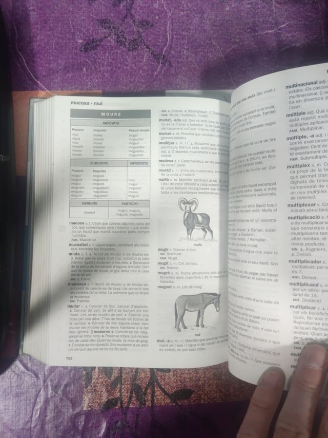 diccionari escolar de la lengua catalana