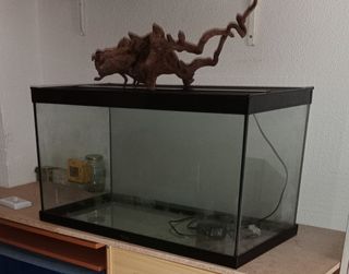 acuario
