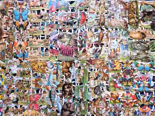 25 láminas Cromos Troquelados Palma Picar ANIMALES