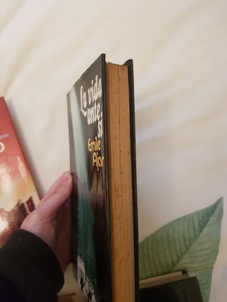 libros (3€/libro)