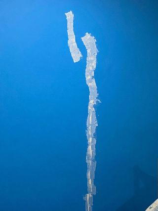 Pintores económicos