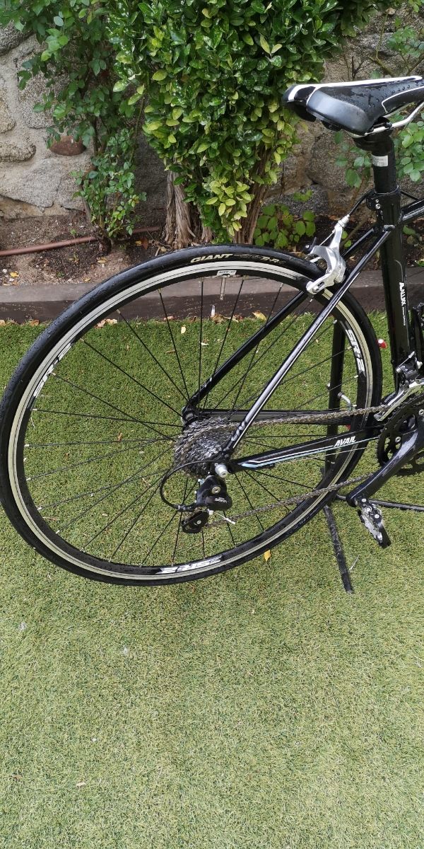 Bicicletta da strada Liv Avail 3