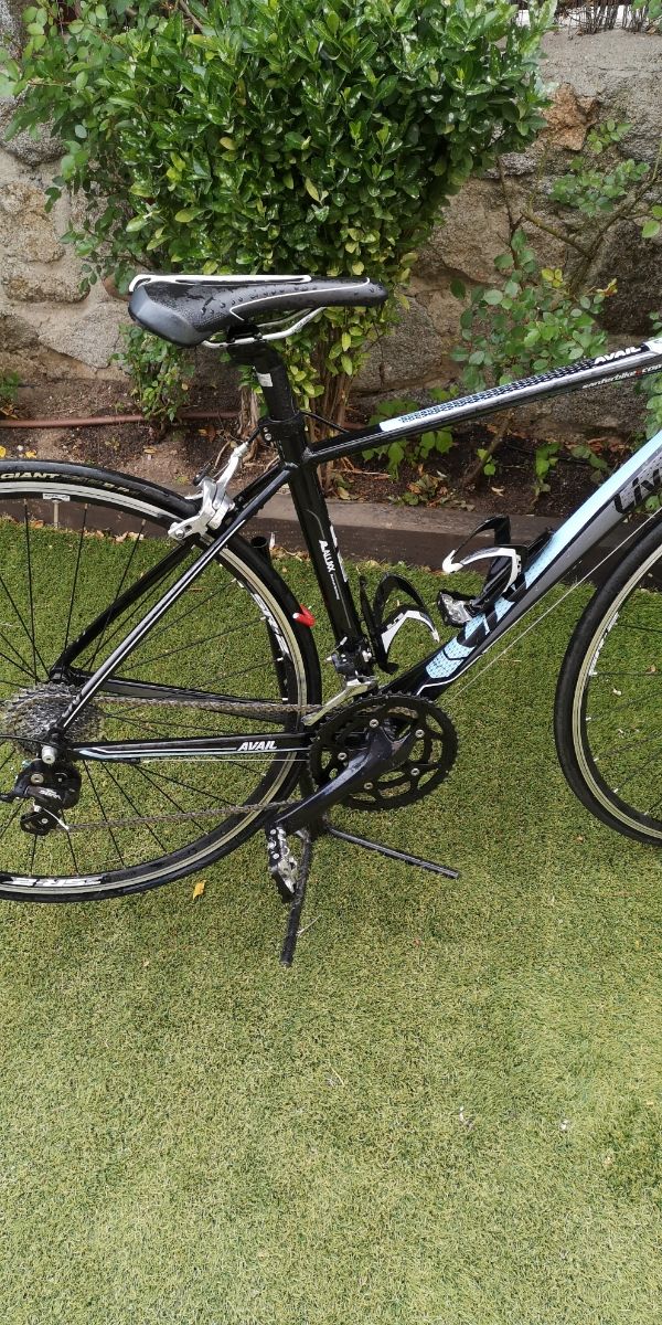 Bicicletta da strada Liv Avail 3